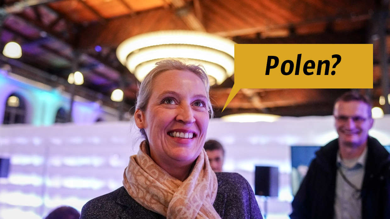 Polen wird von der AfD überfallen